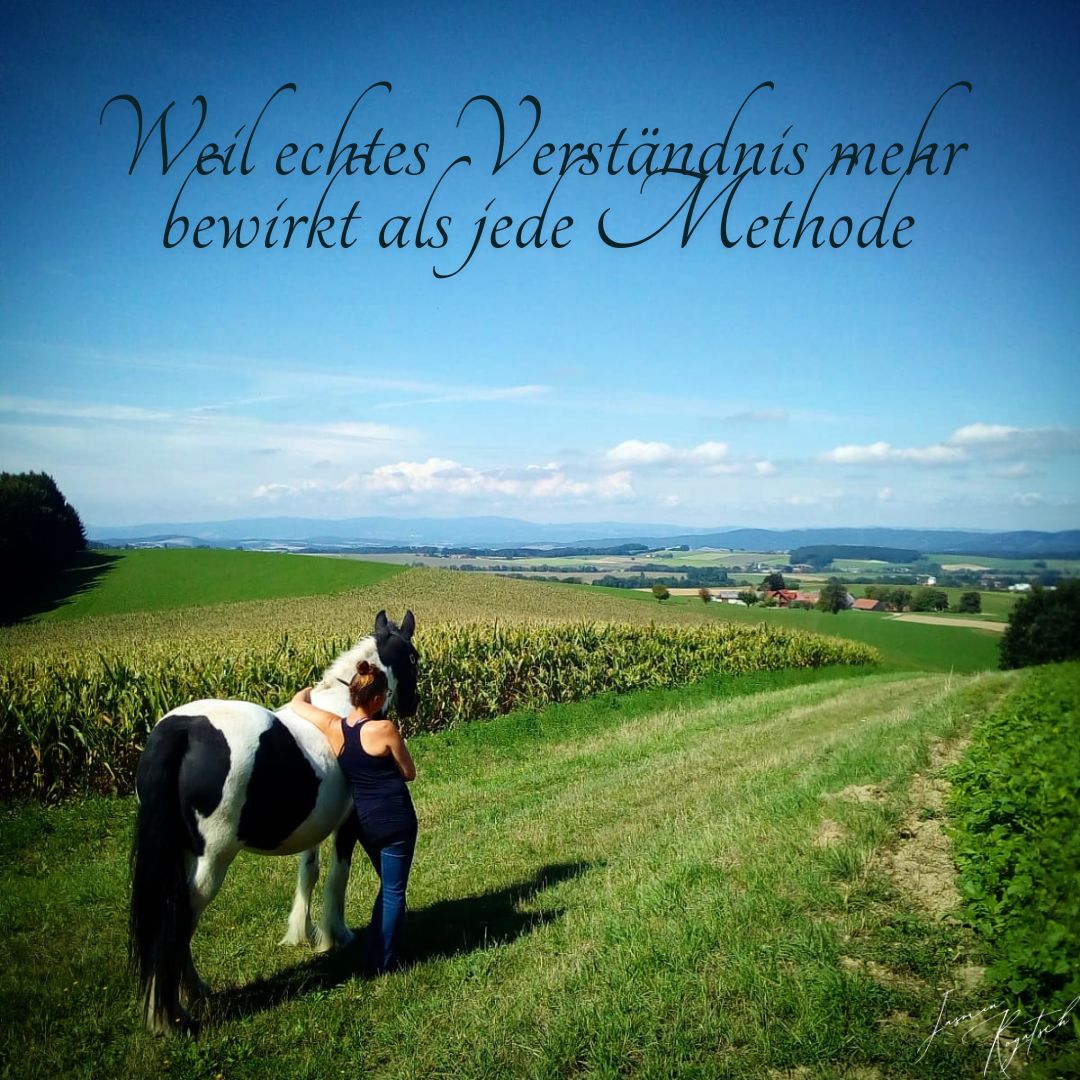 Verständnis Bild Webseite